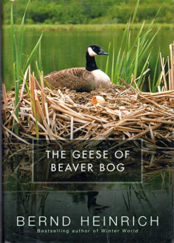 cover image THE GEESE OF BEAVER BOG