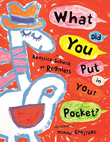 cover image What Did You Put in Your Pocket?