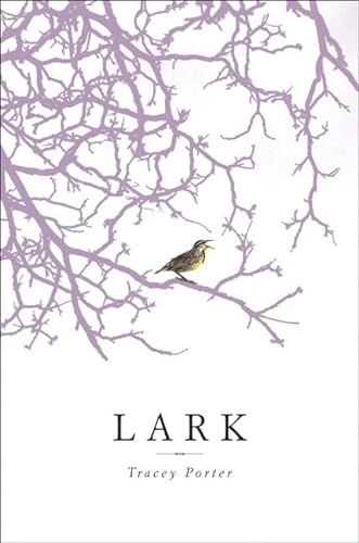 cover image Lark