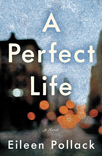 cover image A Perfect Life