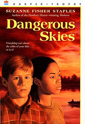 cover image Dangerous Skies