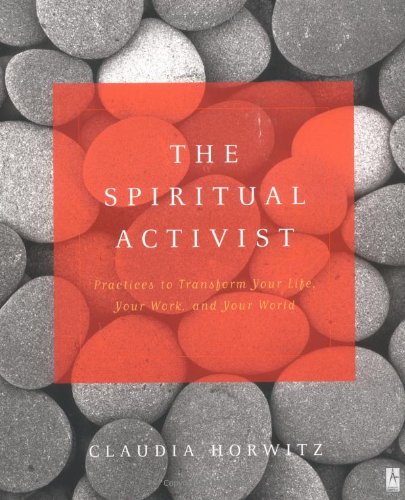 cover image The Spiritual Activist: Practices to Transform Your Life, Your Work, and Your World