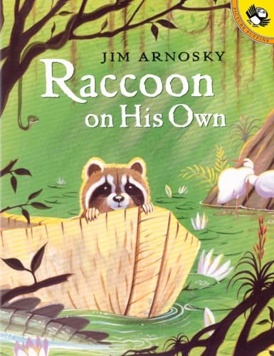 cover image RACCOON ON HIS OWN