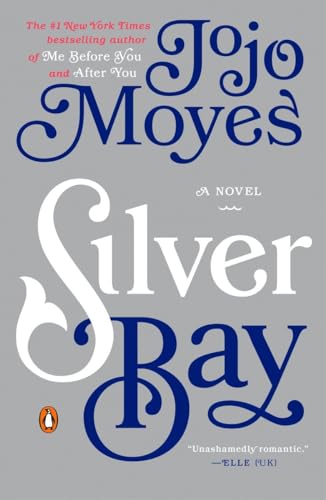 cover image Silver Bay