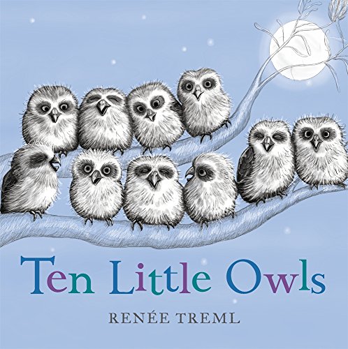 cover image Ten Little Owls