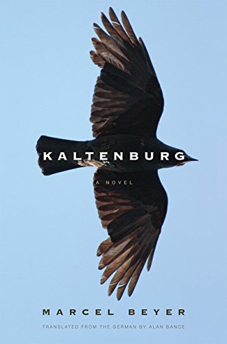 cover image Kaltenburg