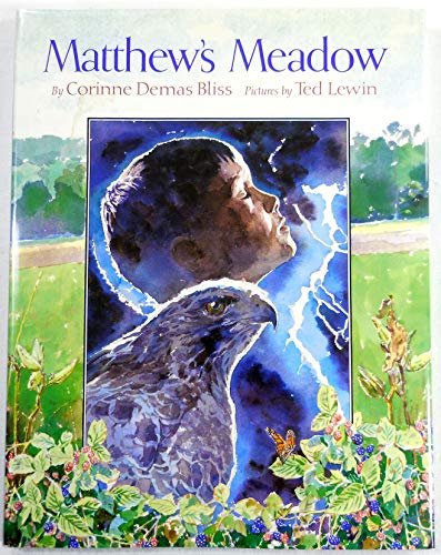 cover image Matthew's Meadow