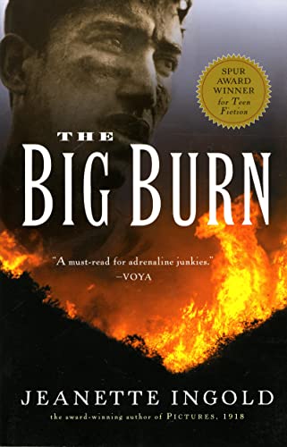 cover image THE BIG BURN