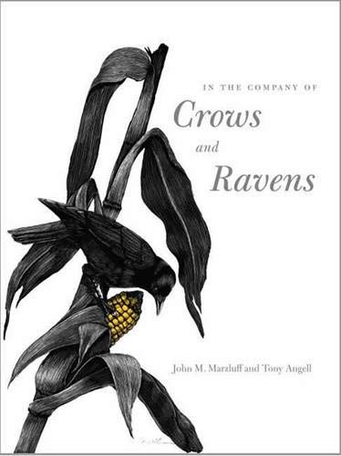 cover image In the Company of Crows and Ravens