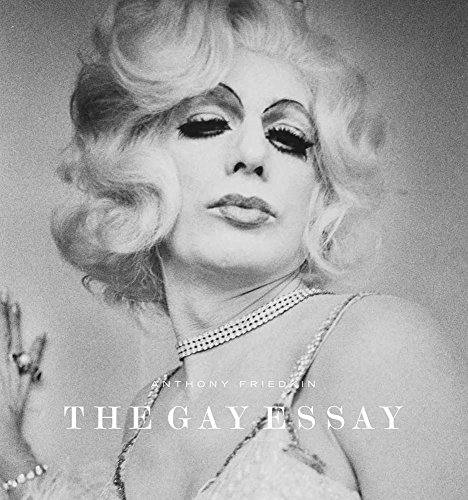 cover image The Gay Essay