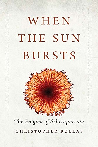 cover image When the Sun Bursts: The Enigma of Schizophrenia