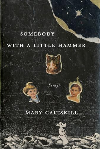 cover image Somebody with a Little Hammer: Essays 