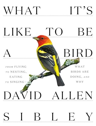 cover image What It’s Like to Be a Bird: From Flying to Nesting, Eating to Singing—What Birds Are Doing, and Why 