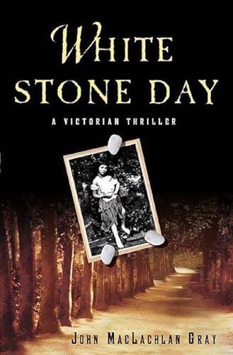 cover image White Stone Day: A Victorian Thriller