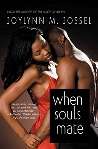 cover image When Souls Mate