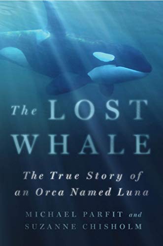 cover image The Lost Whale: The True Story of an Orca Named Luna