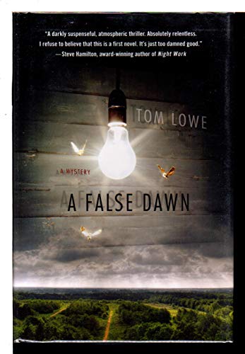 cover image A False Dawn