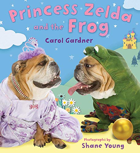 cover image Princess Zelda and the Frog 