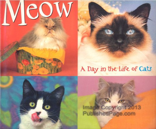 cover image BOW WOW: A Day in the Life of Dogs; MEOW: A Day in the Life of Cats