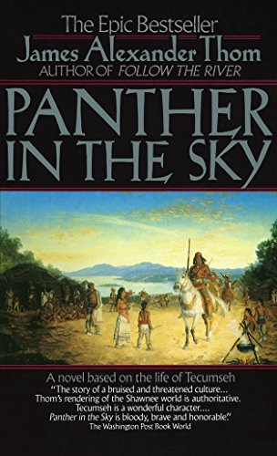 cover image Panther in the Sky