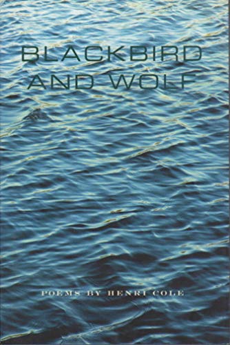 cover image Blackbird and Wolf