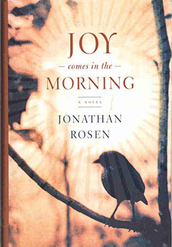 cover image JOY COMES IN THE MORNING
