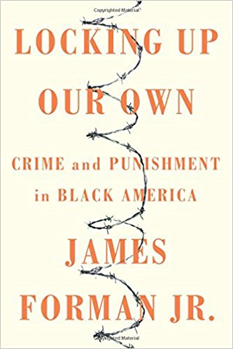 cover image Locking Up Our Own: Crime and Punishment in Black America
