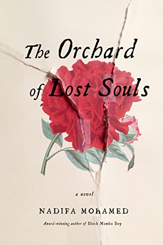 cover image The Orchard of Lost Souls
