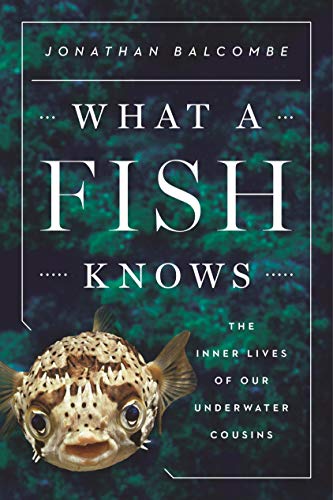 cover image What a Fish Knows: The Inner Lives of Our Underwater Cousins
