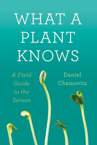 cover image What a Plant Knows: 
A Field Guide to the Senses