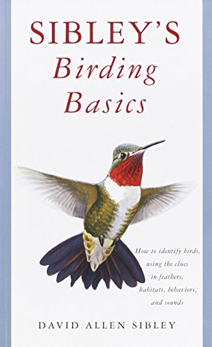 cover image SIBLEY'S BIRDING BASICS: How to Identify Birds, Using the Clues in Feathers, Habitats, Behaviors and Sounds