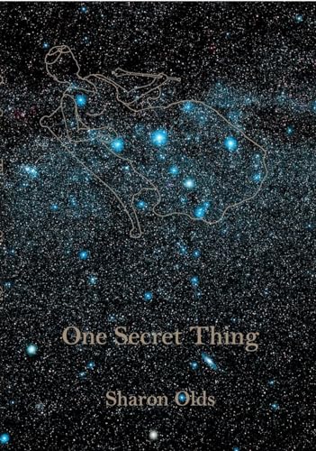 cover image One Secret Thing