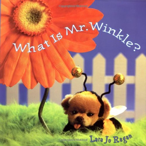 cover image WHAT IS MR. WINKLE?