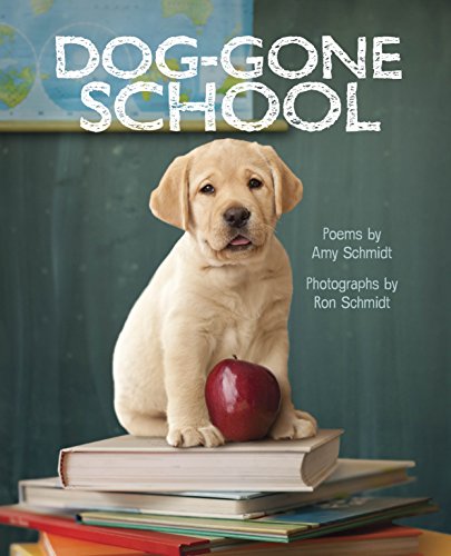 cover image Dog-Gone School
