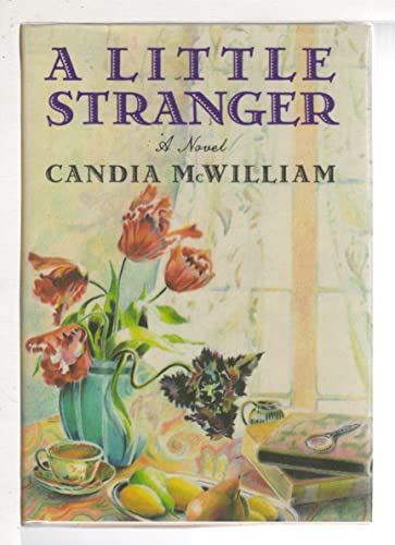 cover image A Little Stranger