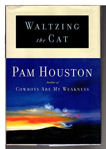 cover image Waltzing the Cat