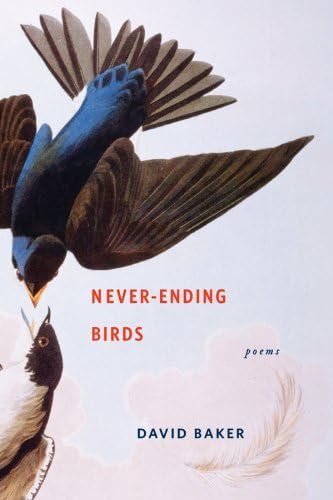 cover image Never Ending Birds