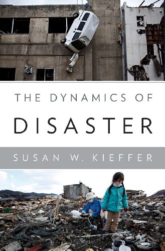 cover image The Dynamics of Disaster