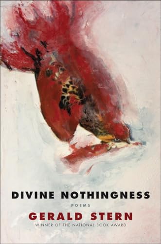 cover image Divine Nothingness: Poems