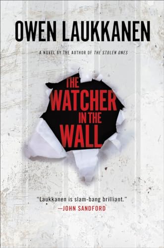 cover image The Watcher in the Wall: A Stevens and Windermere Novel