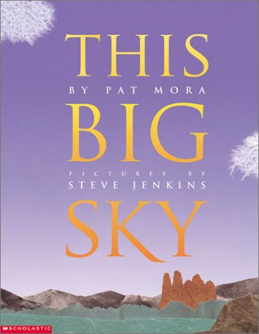 cover image THIS BIG SKY