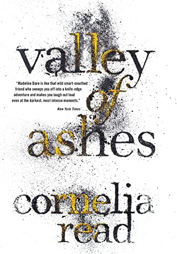 cover image Valley of Ashes