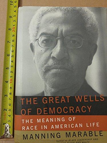 cover image THE GREAT WELLS OF DEMOCRACY: The Meaning of Race in American Life