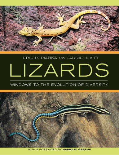 cover image Lizards: Windows to the Evolution of Diversity