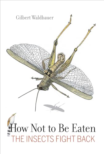 cover image How Not to Be Eaten: The Insects Fight Back%E2%80%A8