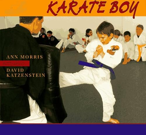 cover image Karate Boy