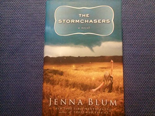 cover image The Stormchasers