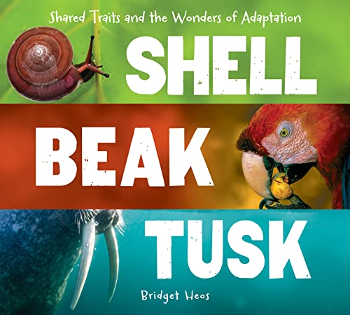 cover image Shell, Beak, Tusk: Shared Traits and the Wonders of Adaptation