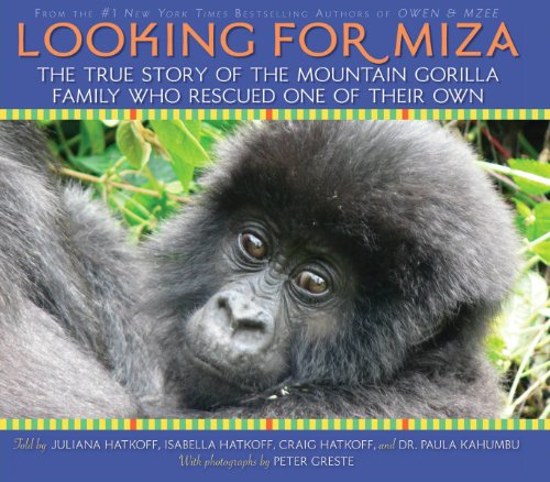 cover image Looking for Miza: The True Story of the Mountain Gorilla Family Who Rescued One of Their Own