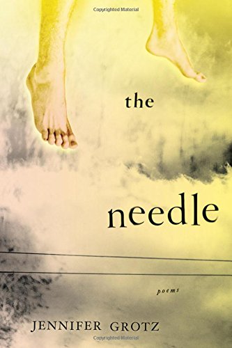 cover image The Needle